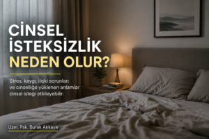 cinsel isteksizlik ve ilişkide cinsel isteğin azalması üzerine sade psikoloji blog görseli
